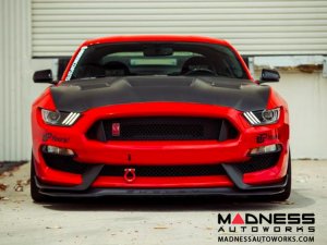 Ford Shelby GT350 Mustang Carbon Fiber Hood - Dry